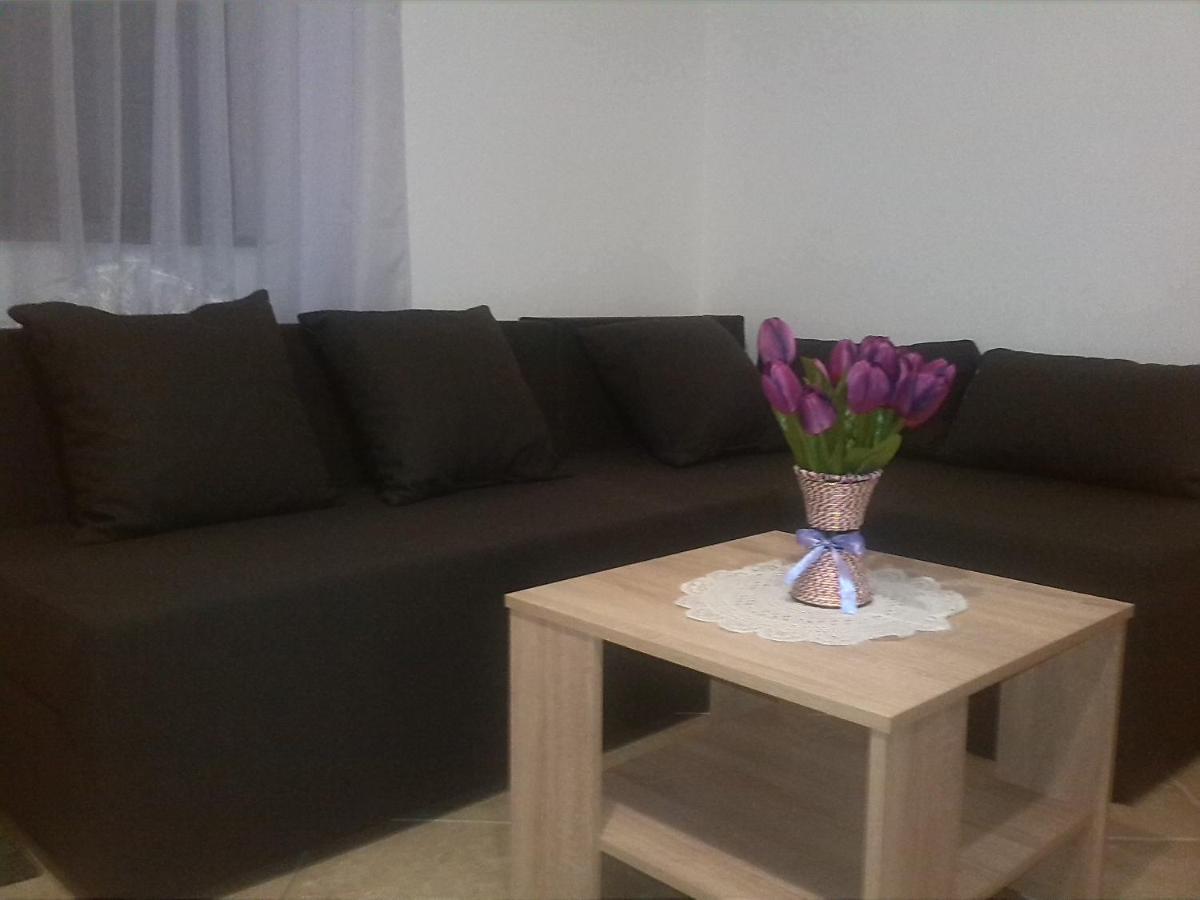 Apartman Borosa فير المظهر الخارجي الصورة